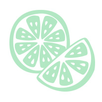 Image-206x206px-PDP-Ingredients-Icon_V2_Citrus