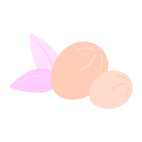 Image-206x206px-PDP-Ingredients-Icon_V2_SheaButter